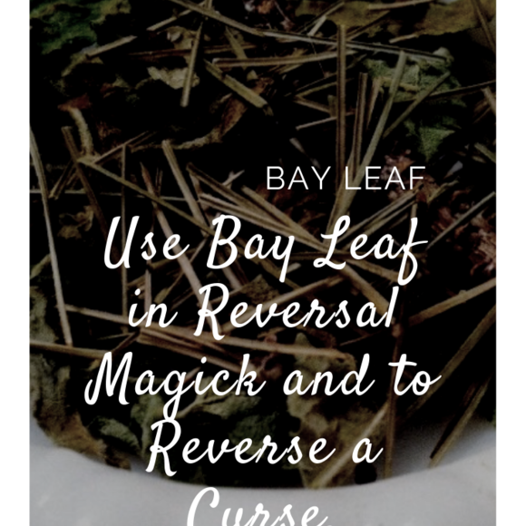 Bay Leaf in Kitchen Witchery  Magick 