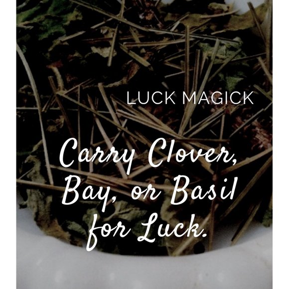 Clover for Luck / Kitchen Witchery  Magick 