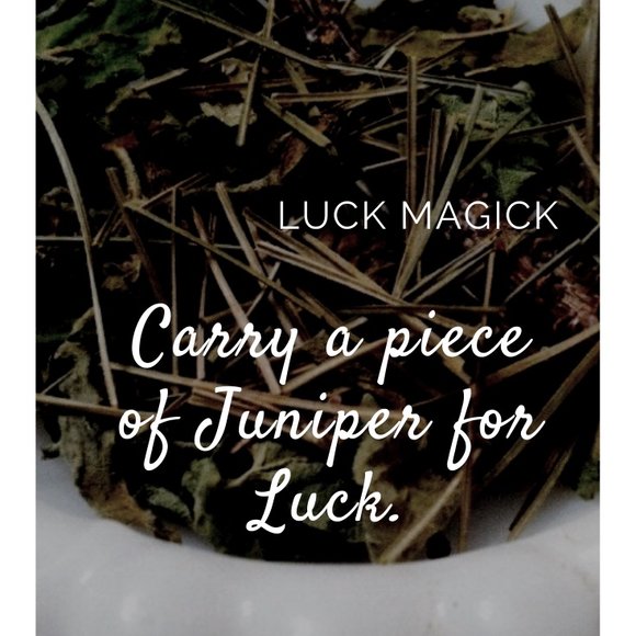 Carry Juniper for Luck Magick