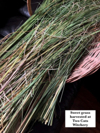 Sweetgrass Braid for Energy Cleansing and Home Blessings
